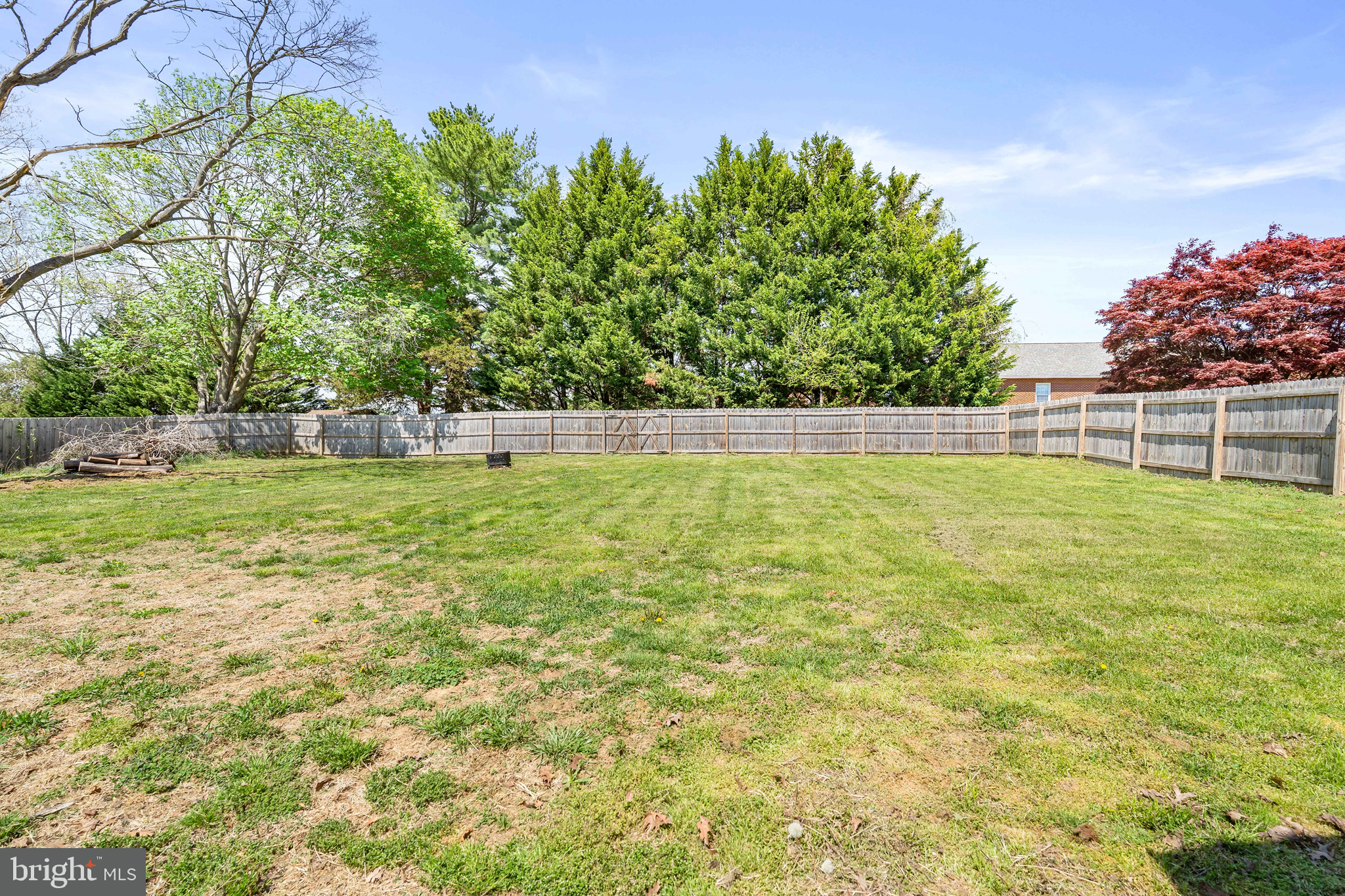 5987 Telegraph Road Elkton, MD 21921 - Photo 28 of 31 Backysard