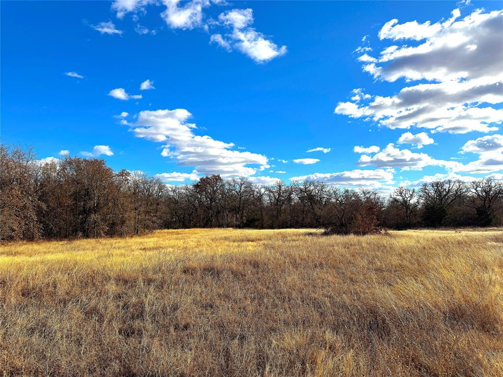 17101 B Farm To Market 920 Poolville, TX 76487 - Photo 13 of 38