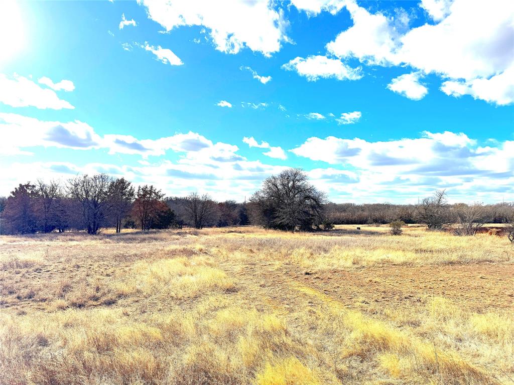 17101 B Farm To Market 920 Poolville, TX 76487 - Photo 18 of 38