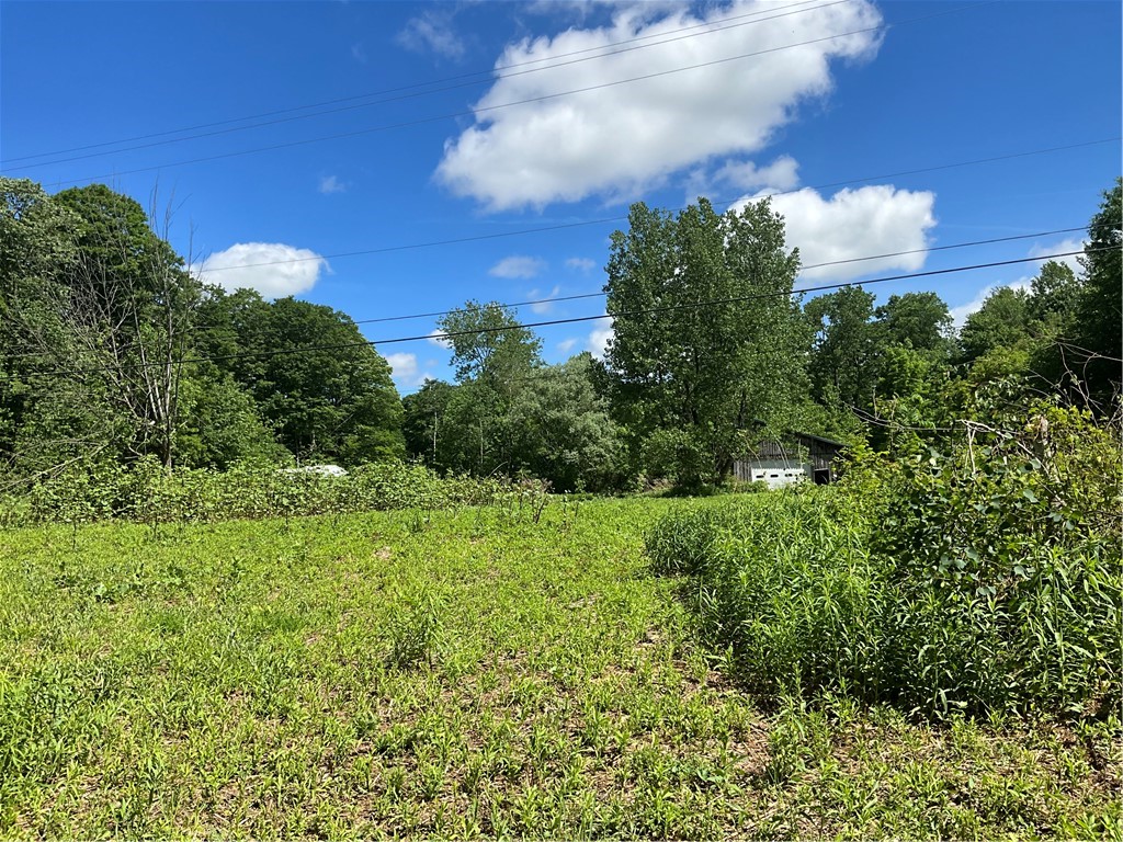 6471 Crofoot Road Sempronius, NY 13118 - Photo 6 of 23