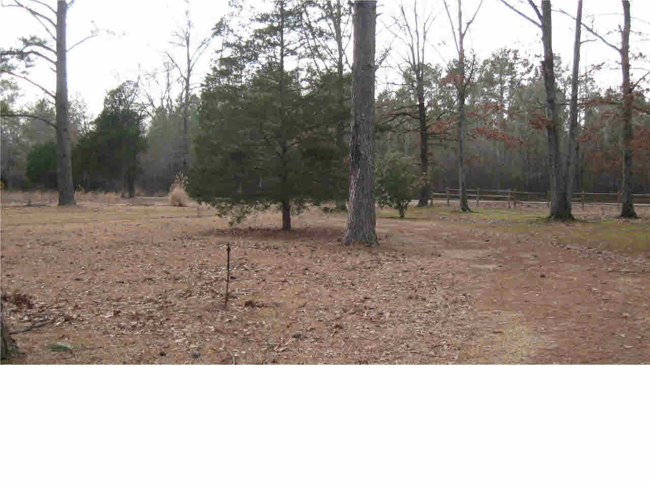 123 Dummy Line Road Canton, MS 39046 - Photo 3 of 14 Photo 3