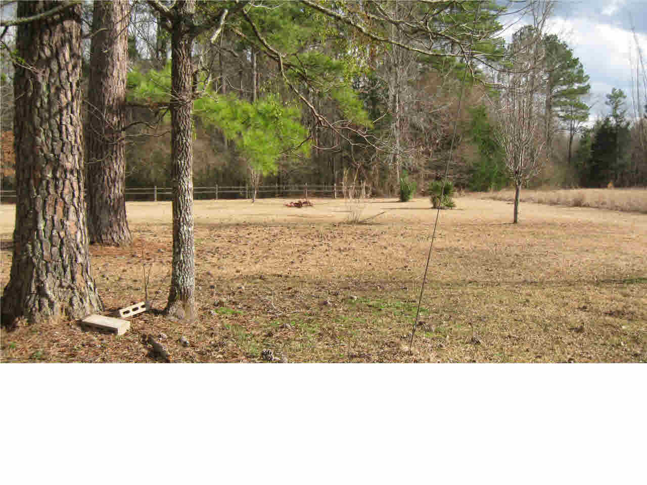 123 Dummy Line Road Canton, MS 39046 - Photo 6 of 14 Photo 6