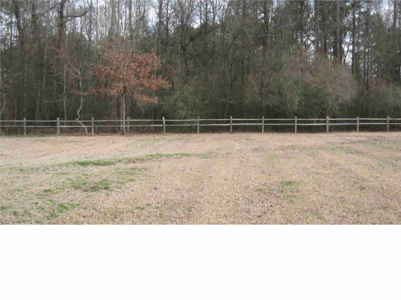 123 Dummy Line Road Canton, MS 39046 - Photo 8 of 14 Photo 8
