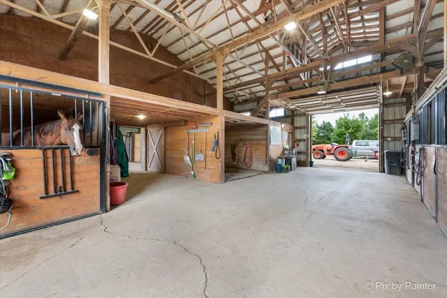 a view of green field with trees