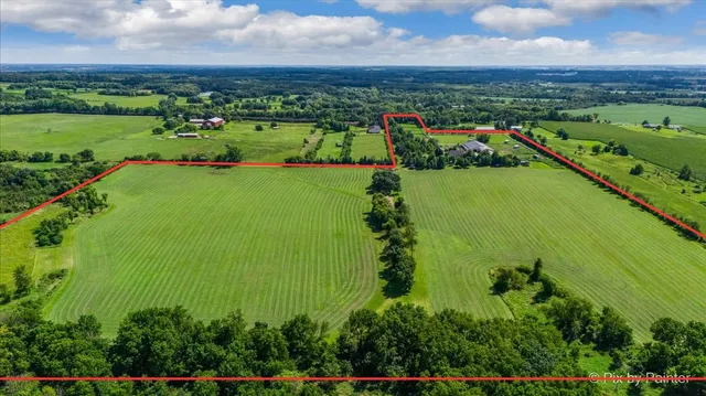 a view of a field of grass and trees