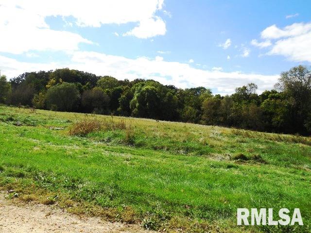 685-689 West Deer Creek Road Clinton, IA 52732 - Photo 1 of 2 Gallery Image 1