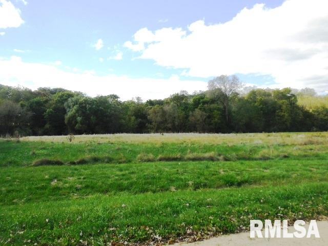 685-689 West Deer Creek Road Clinton, IA 52732 - Photo 2 of 2 Gallery Image 2