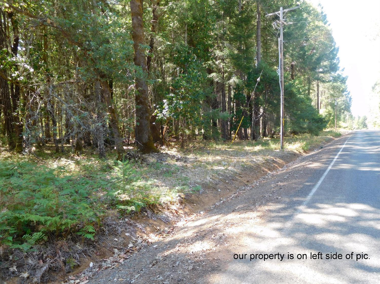 271 Kirkham Road Cave Junction, OR 97523 - Photo 33 of 33 paved road frontage. property on left.