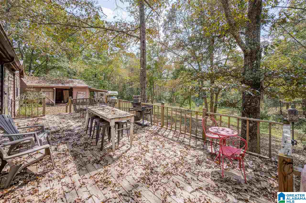 1399 Camp Winnataska Road Pell City, AL 35128 - Photo 31 of 38