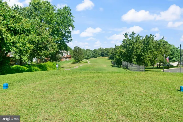 a view of a trees with a big yard