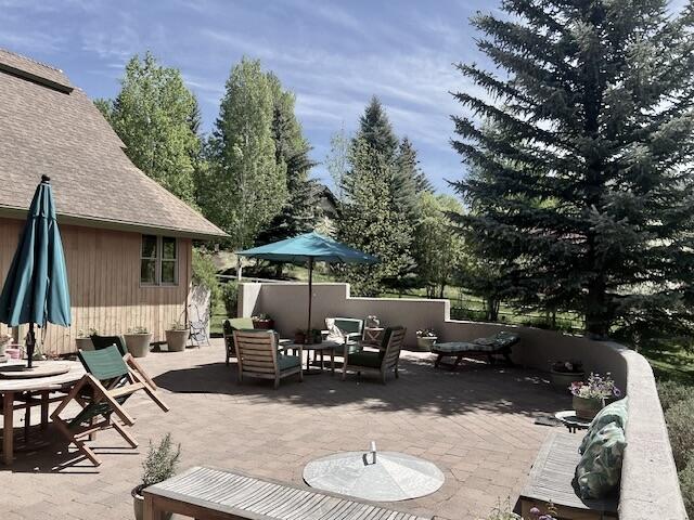 102 Sitting Bull Drive Blaine County, ID 83333 - Photo 25 of 29 Summer View