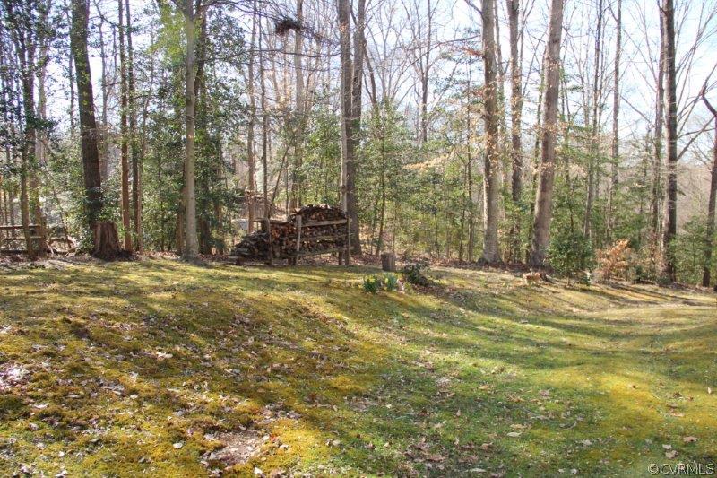 4701 Ball Cypress Road Chesterfield, VA 23832 - Photo 21 of 24 Gallery Image 21