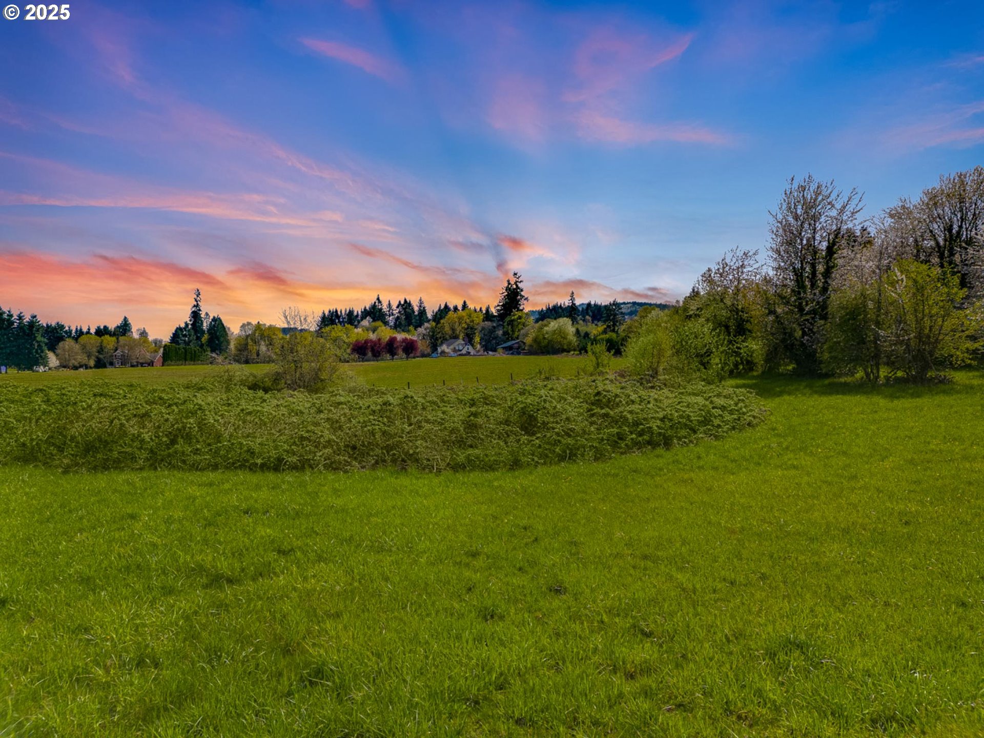 33340 Southwest Rokin Way Scappoose, OR 97056 - Photo 26 of 26 a view of a big yard with a large tree