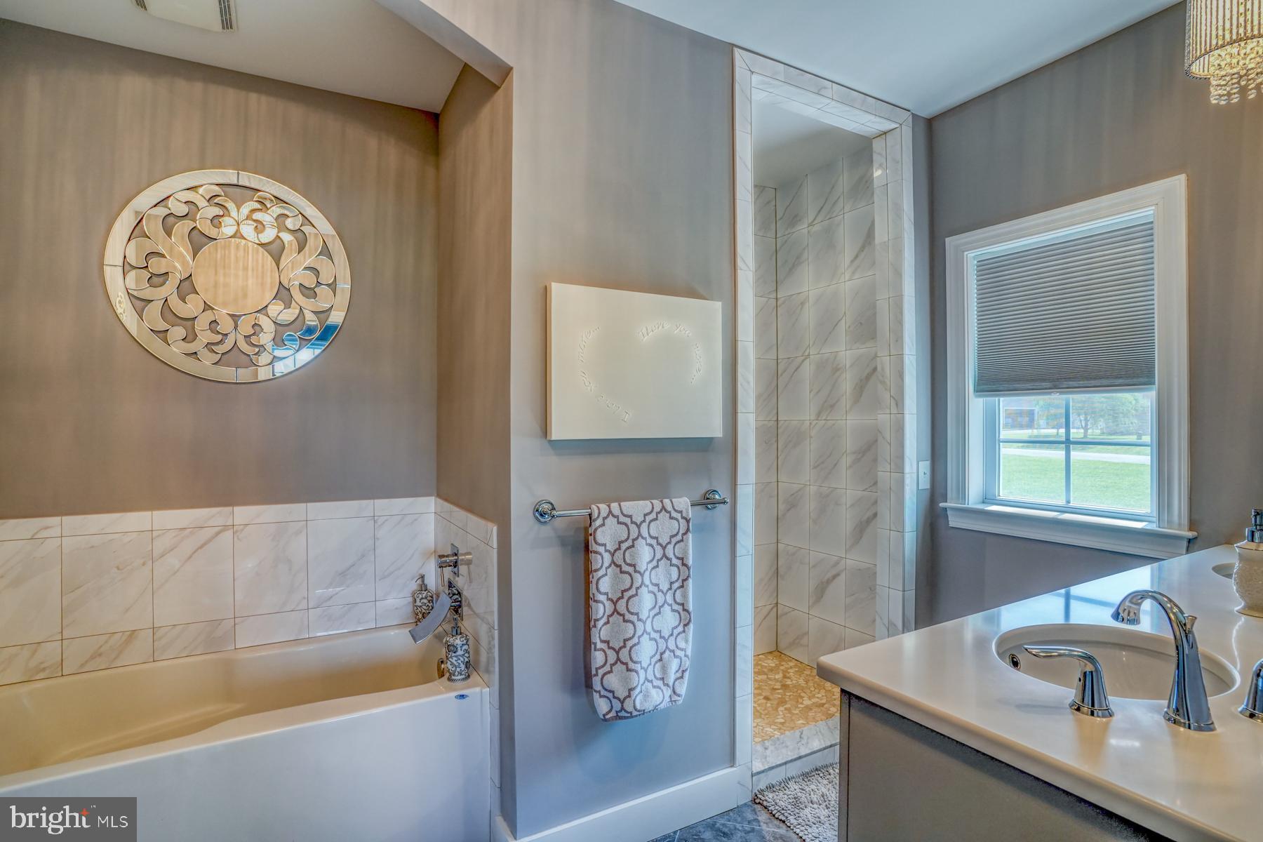 30450 Half Shell Road Milton, DE 19968 - Photo 17 of 73 Owner's bathroom with tub and tile shower
