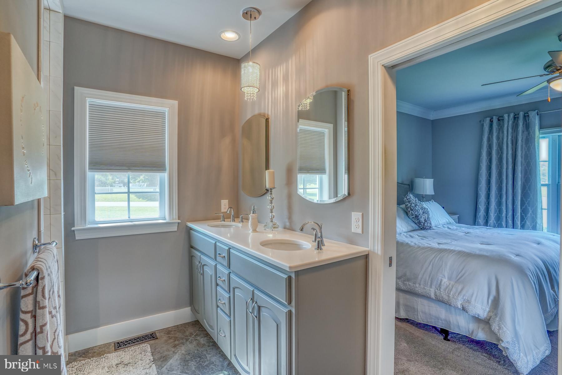 30450 Half Shell Road Milton, DE 19968 - Photo 18 of 73 Owner's bathroom with double sinks