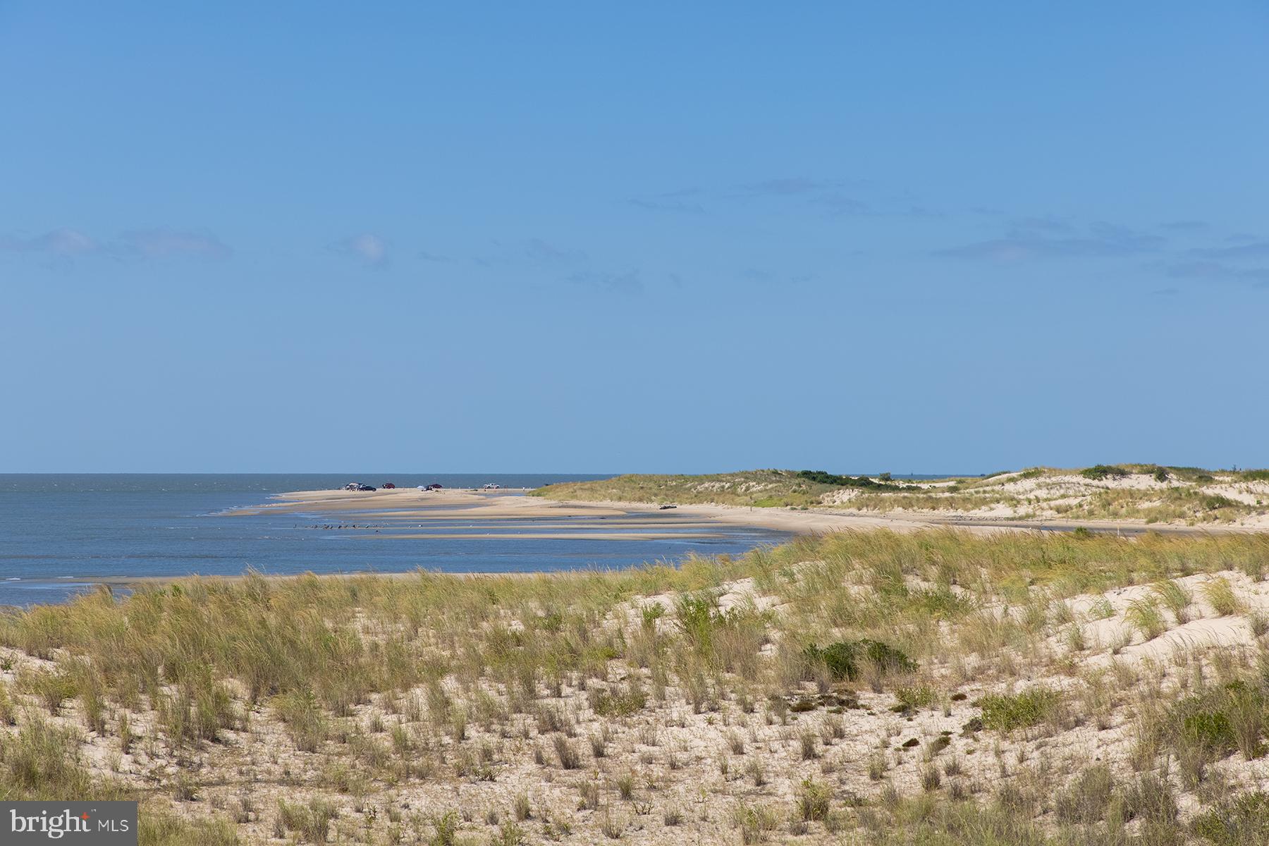 30450 Half Shell Road Milton, DE 19968 - Photo 57 of 73 Cape Henlopen in Lewes