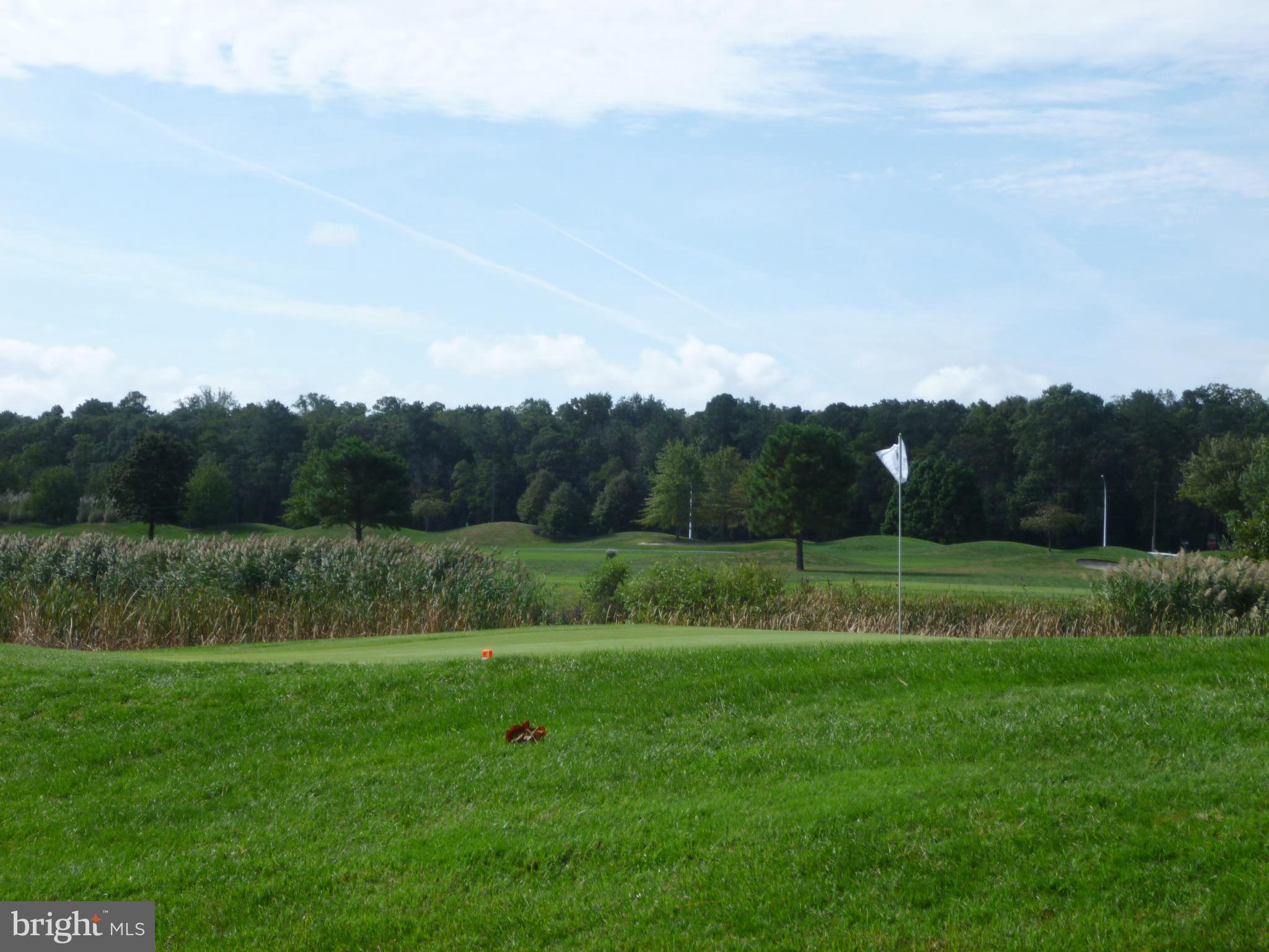 30450 Half Shell Road Milton, DE 19968 - Photo 65 of 73 Enjoy a round of golf at the Rookery