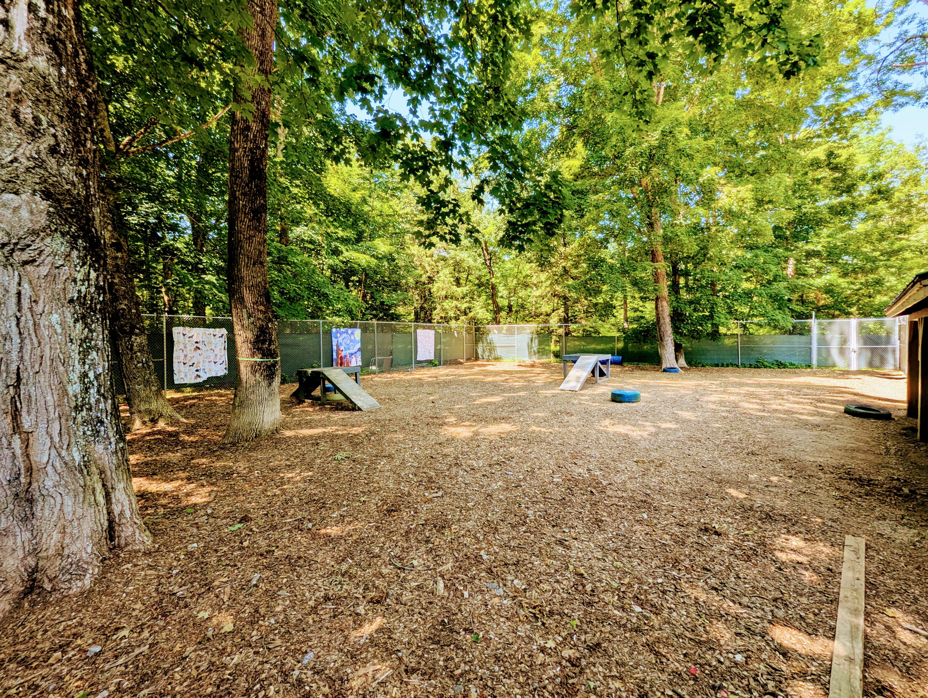 120 Sunday River Road Bethel, ME 04217 - Photo 23 of 30 Back yard
