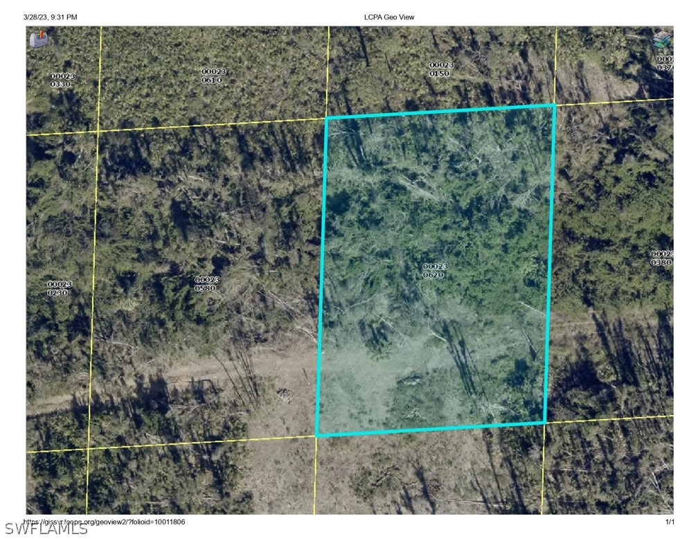 Access Undetermined Access Undetermined Access Undetermined Bokeelia, FL 33922 - Photo 2 of 15 a view of a forest