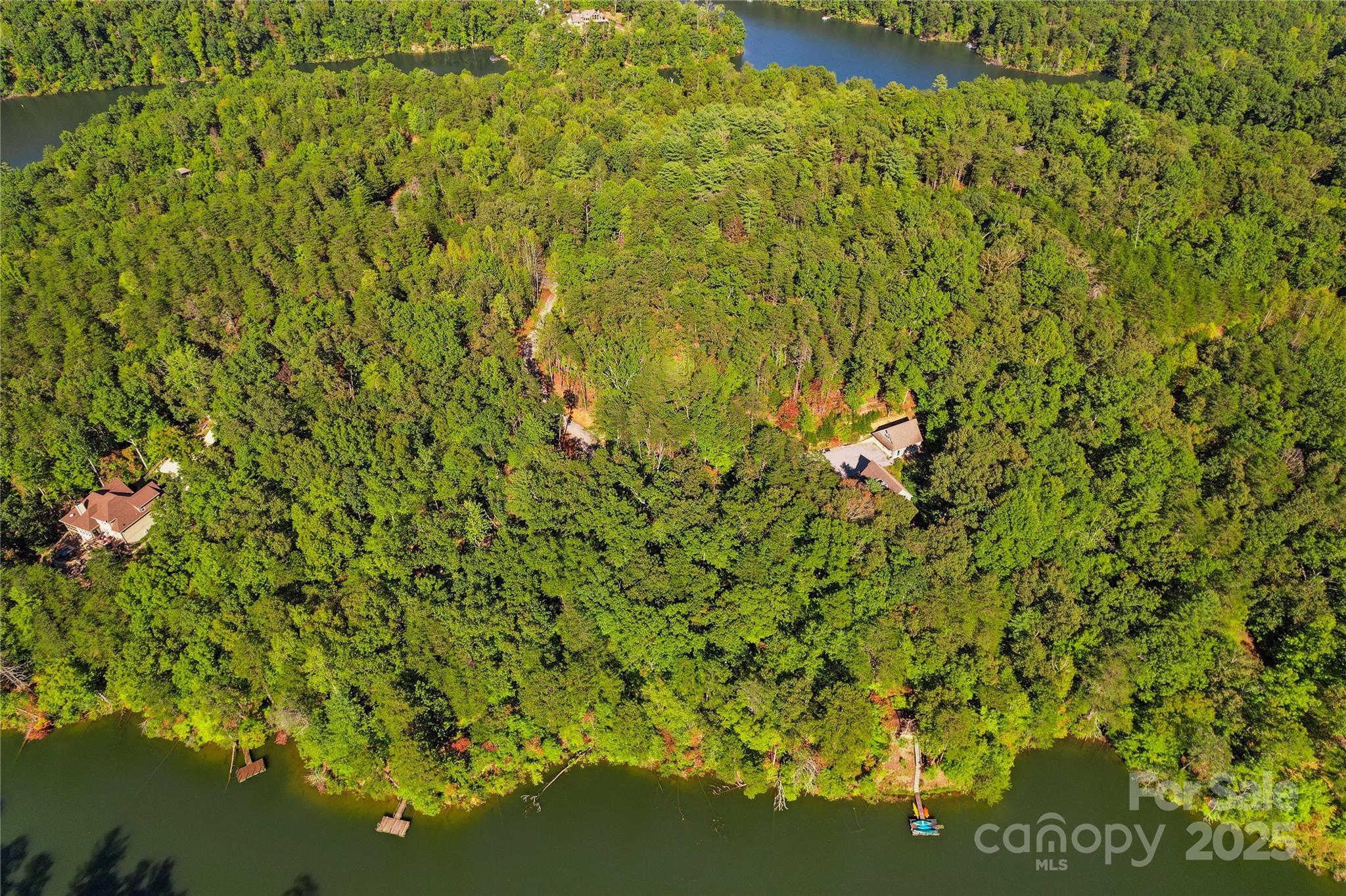 Lot 15 South Cove Rd Mill Spring, Unit 15 Mill Spring, NC 28756 - Photo 11 of 47 a view of a big yard