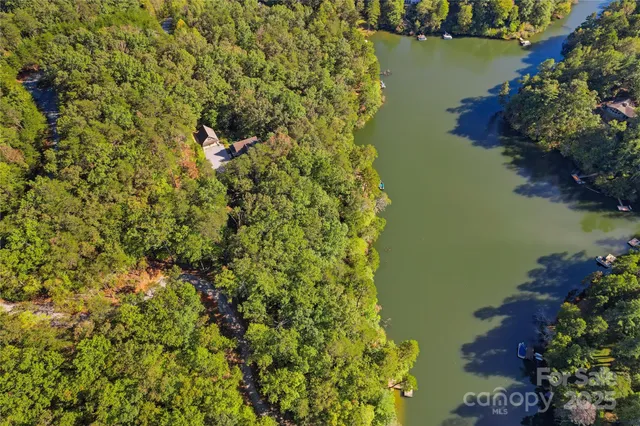 a picture of a tree with a lake