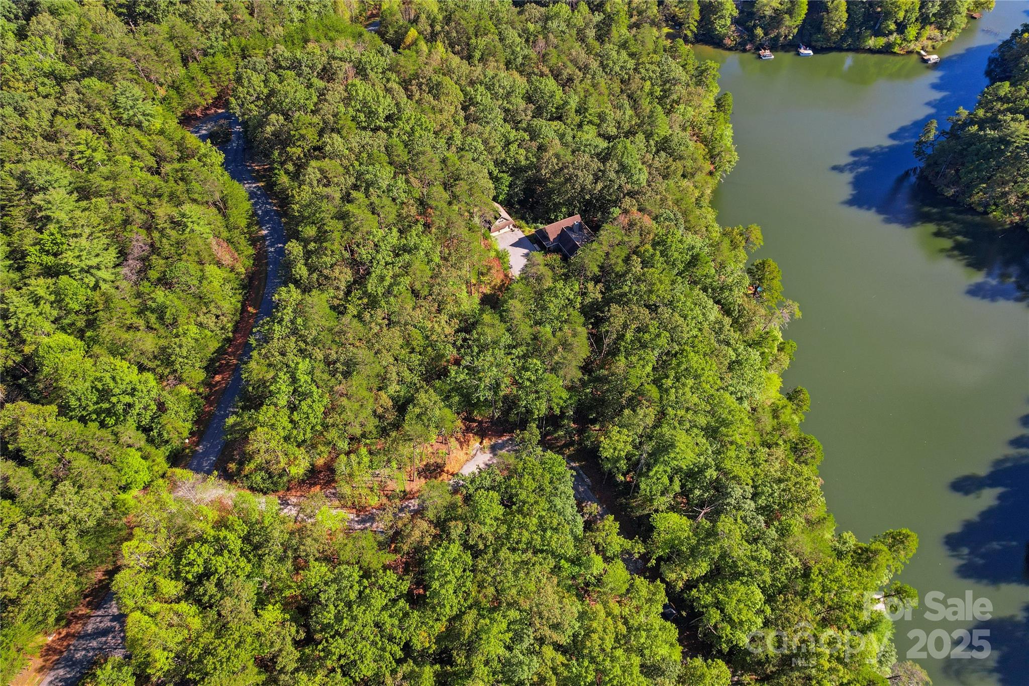 Lot 15 South Cove Rd Mill Spring, Unit 15 Mill Spring, NC 28756 - Photo 13 of 47 a picture of a tree with a lake