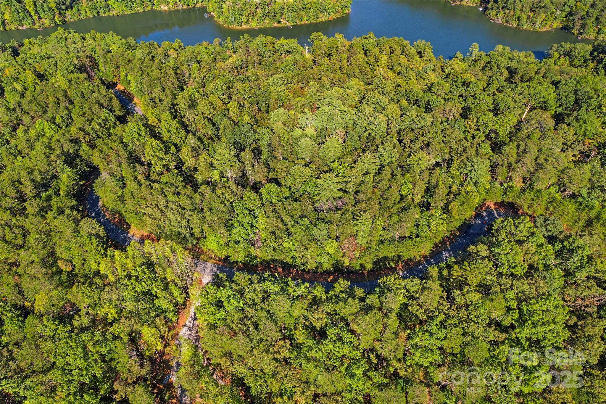 Lot 15 South Cove Rd Mill Spring, Unit 15 Mill Spring, NC 28756 - Photo 20 of 47 a view of a big yard with lots of bushes