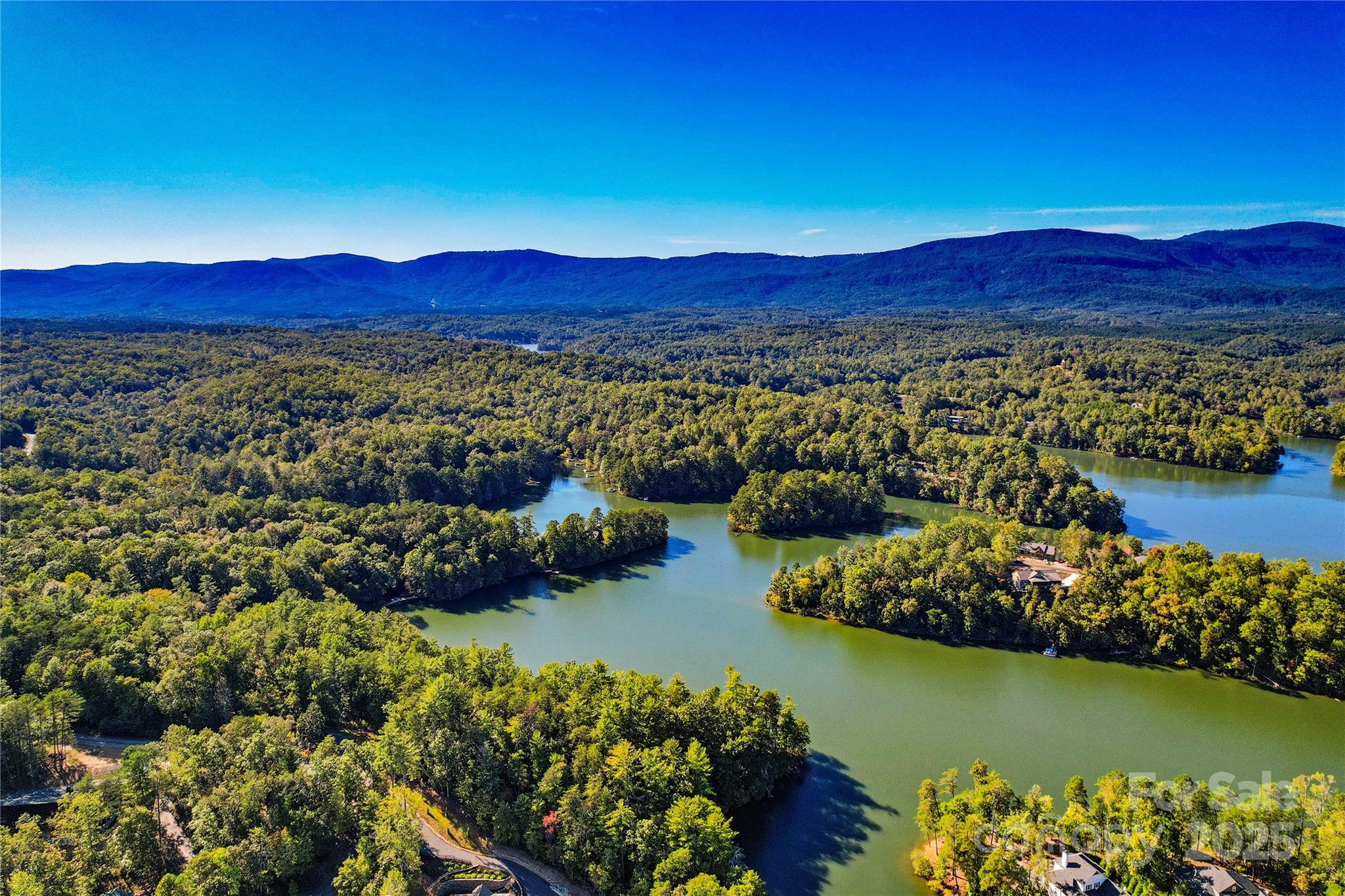 Lot 15 South Cove Rd Mill Spring, Unit 15 Mill Spring, NC 28756 - Photo 2 of 47 a view of a lush green field with mountains in the background
