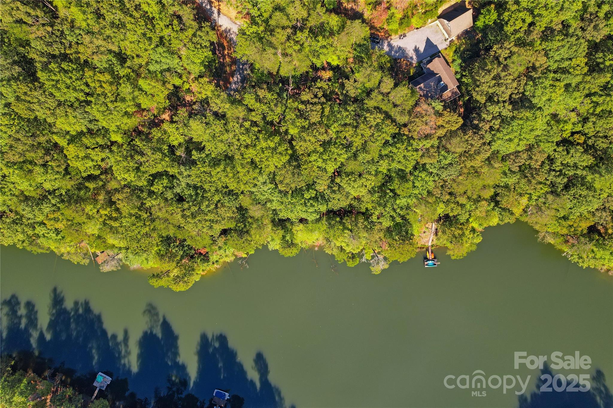 Lot 15 South Cove Rd Mill Spring, Unit 15 Mill Spring, NC 28756 - Photo 22 of 47 a view of lake