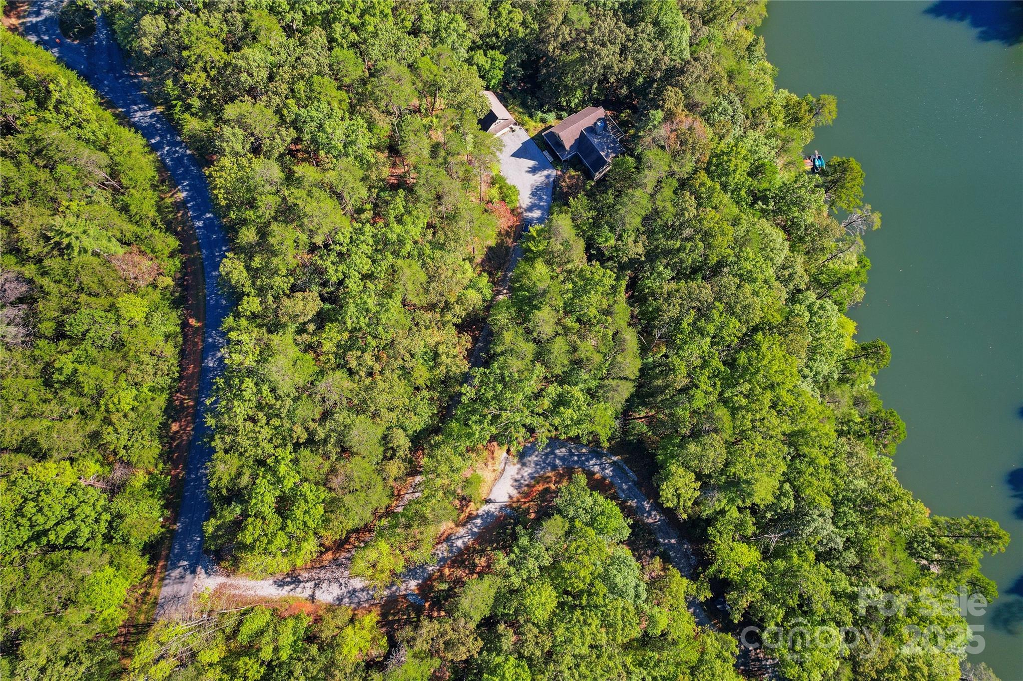 Lot 15 South Cove Rd Mill Spring, Unit 15 Mill Spring, NC 28756 - Photo 23 of 47 a view of a lush green forest