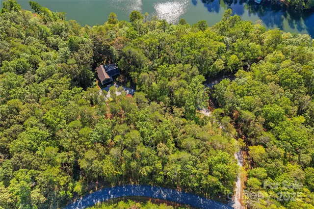 a view of a garden with a bench