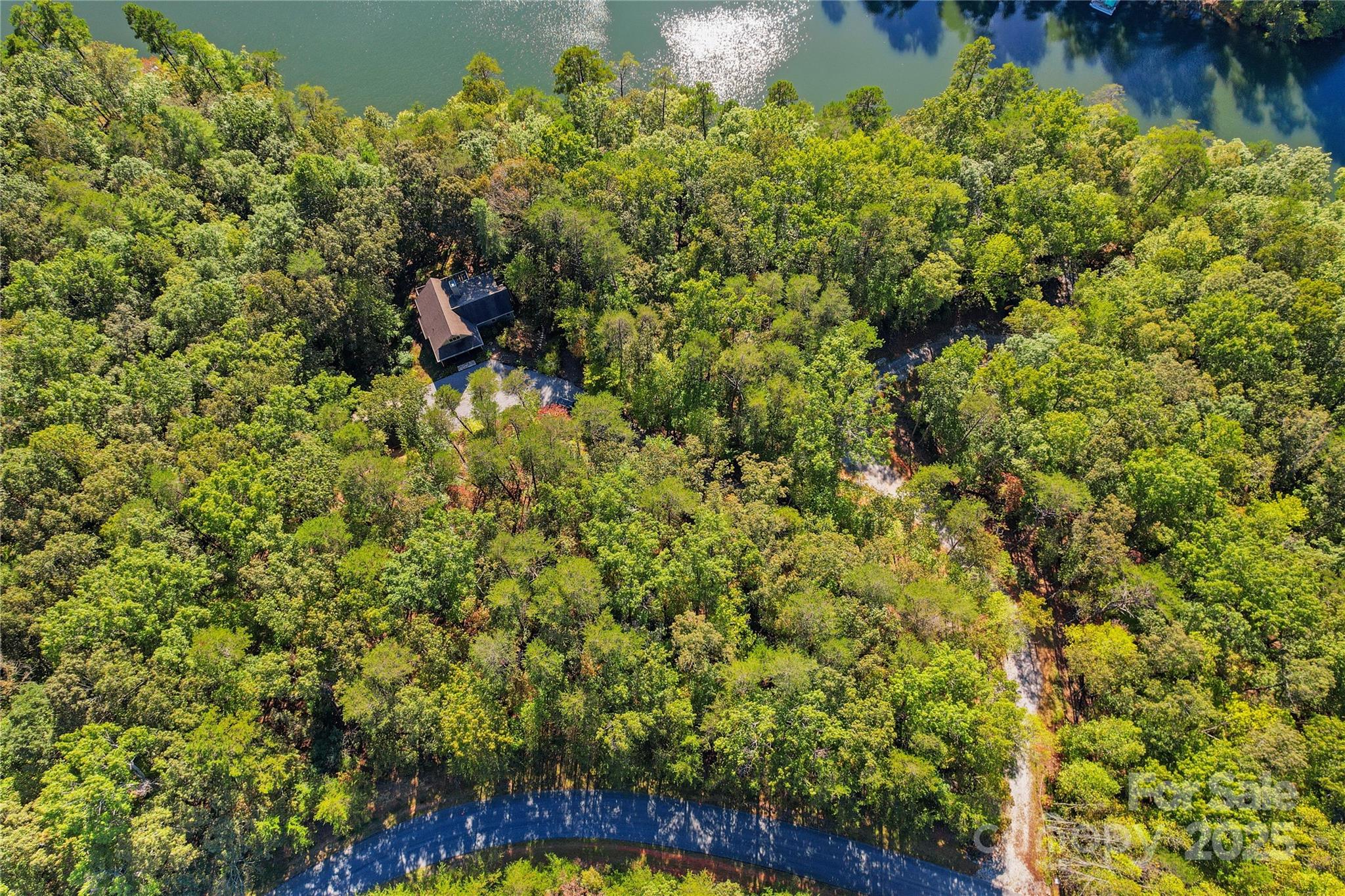 Lot 15 South Cove Rd Mill Spring, Unit 15 Mill Spring, NC 28756 - Photo 24 of 47 a view of a yard