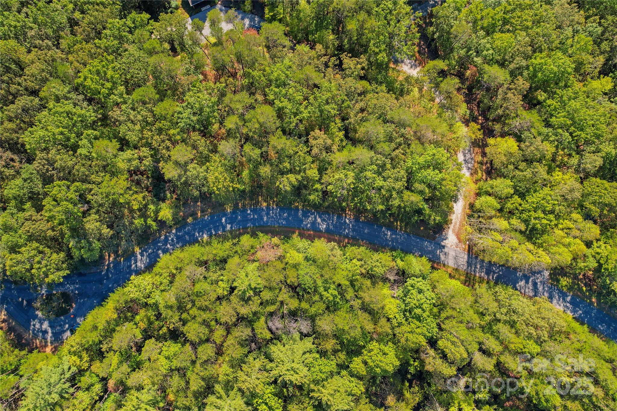 Lot 15 South Cove Rd Mill Spring, Unit 15 Mill Spring, NC 28756 - Photo 25 of 47 a view of a garden with plants