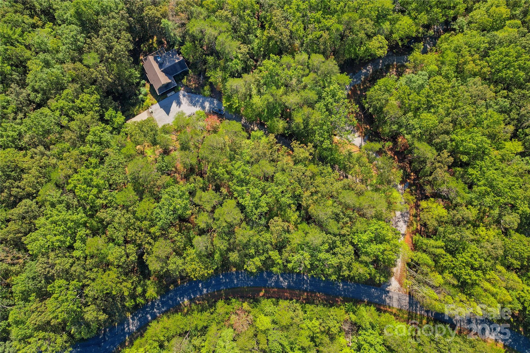 Lot 15 South Cove Rd Mill Spring, Unit 15 Mill Spring, NC 28756 - Photo 26 of 47 a view of a garden with a bench