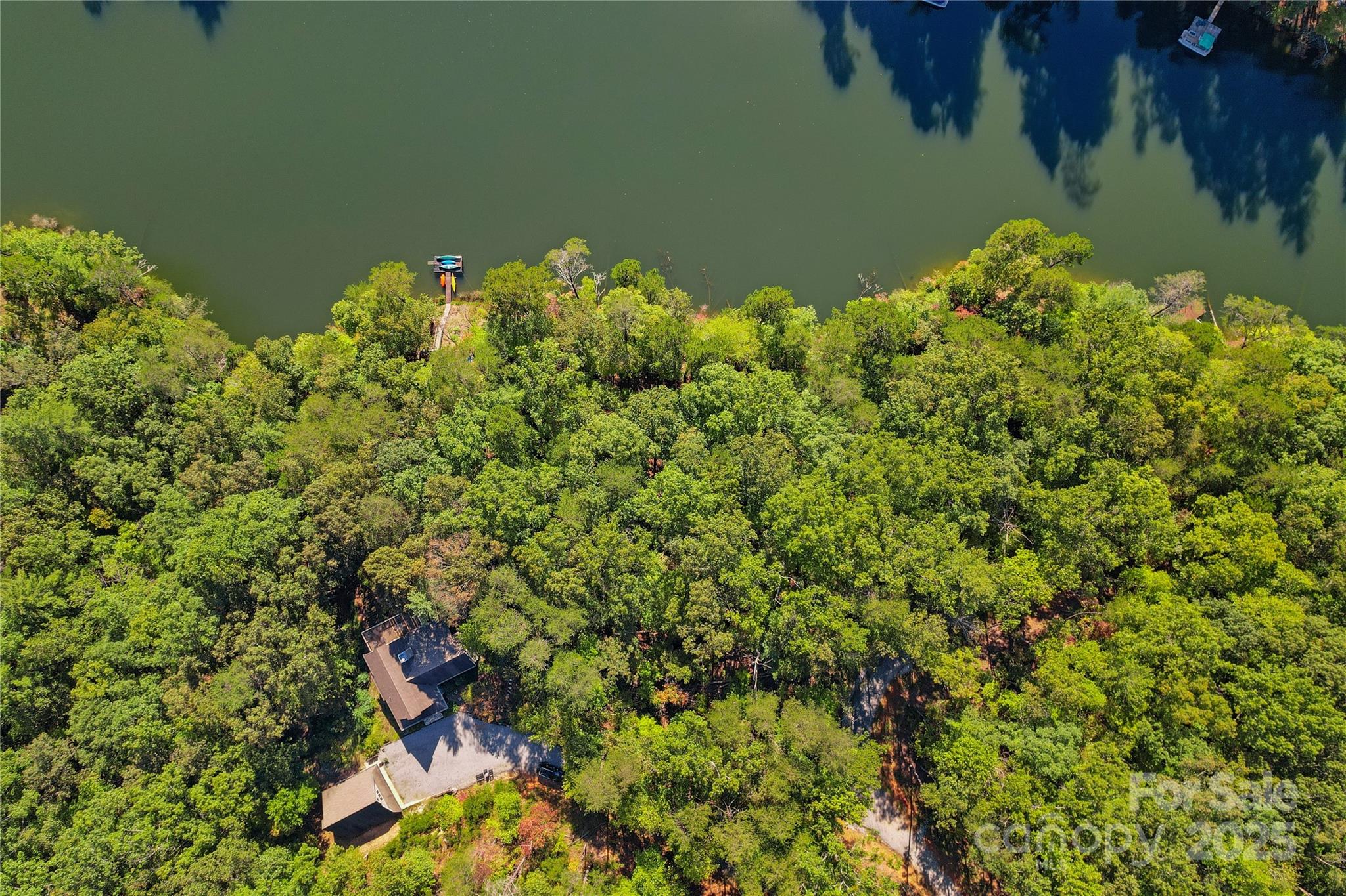 Lot 15 South Cove Rd Mill Spring, Unit 15 Mill Spring, NC 28756 - Photo 28 of 47 view of a lake