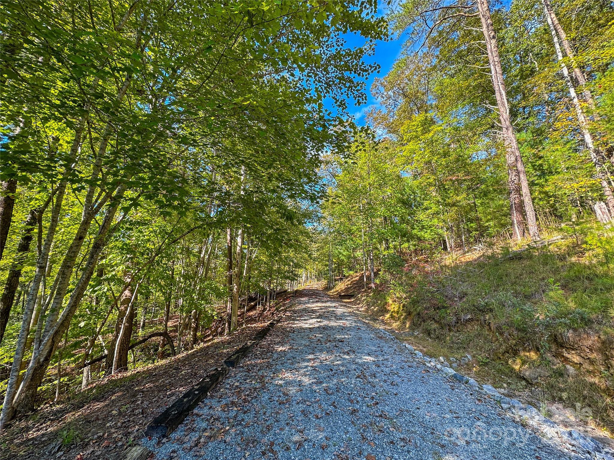 Lot 15 South Cove Rd Mill Spring, Unit 15 Mill Spring, NC 28756 - Photo 29 of 47 a view of an outdoor space and a yard
