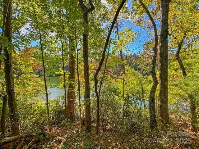 a backyard of a house with lots of trees