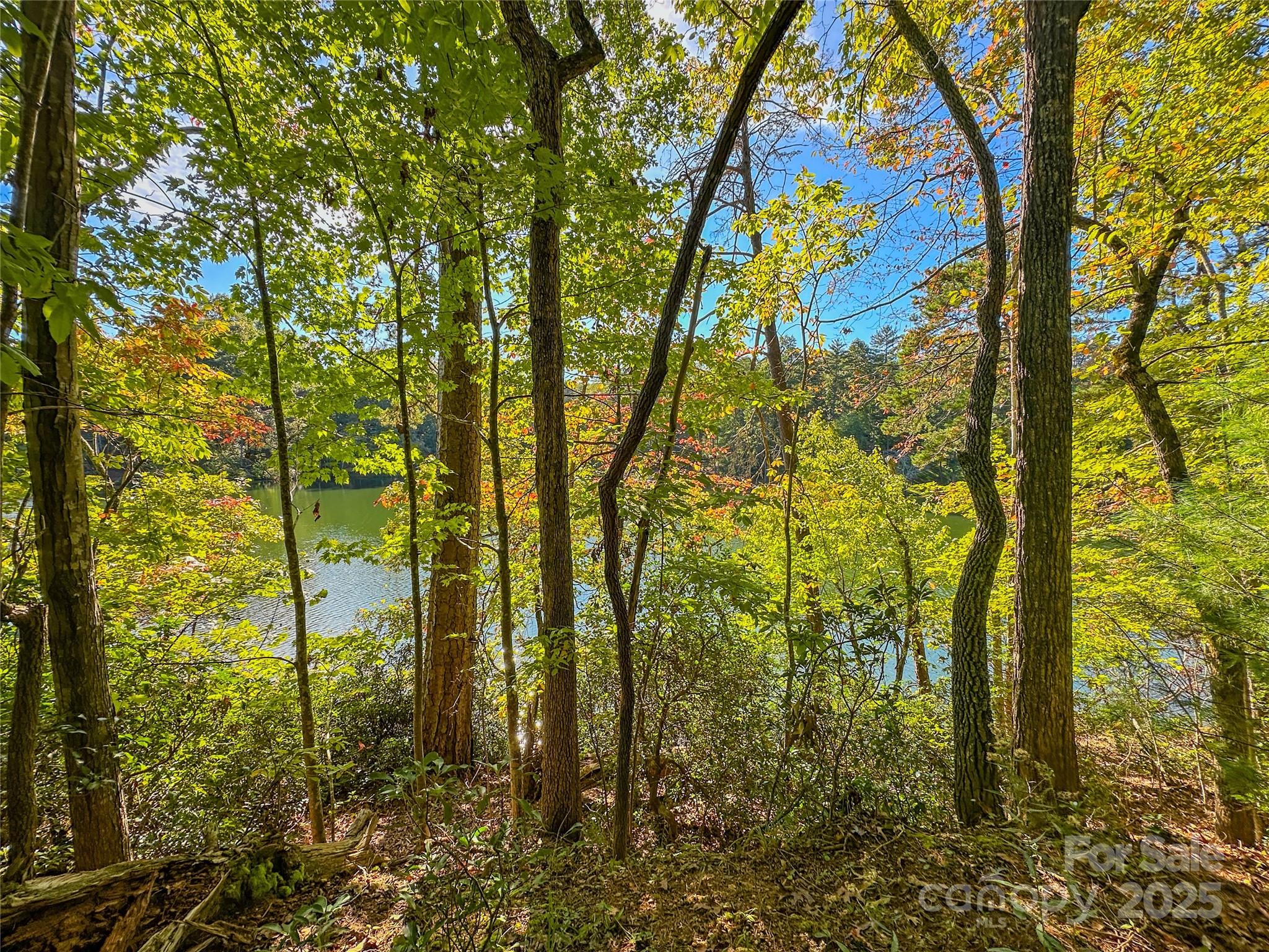 Lot 15 South Cove Rd Mill Spring, Unit 15 Mill Spring, NC 28756 - Photo 31 of 47 a view of a garden