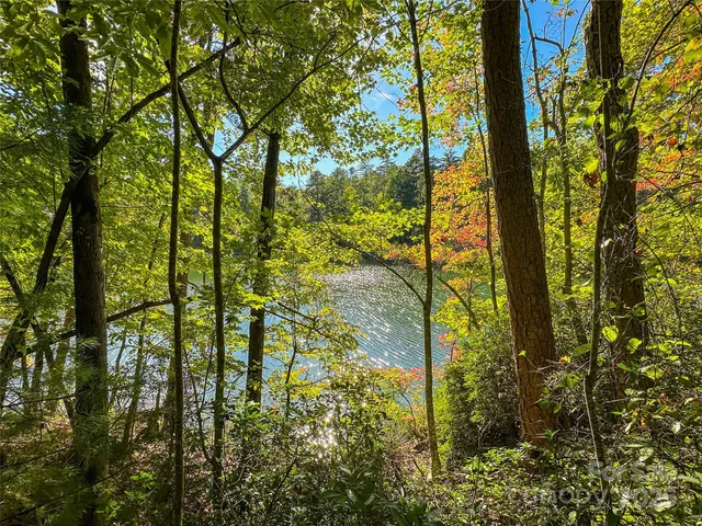 a view of park with large tree
