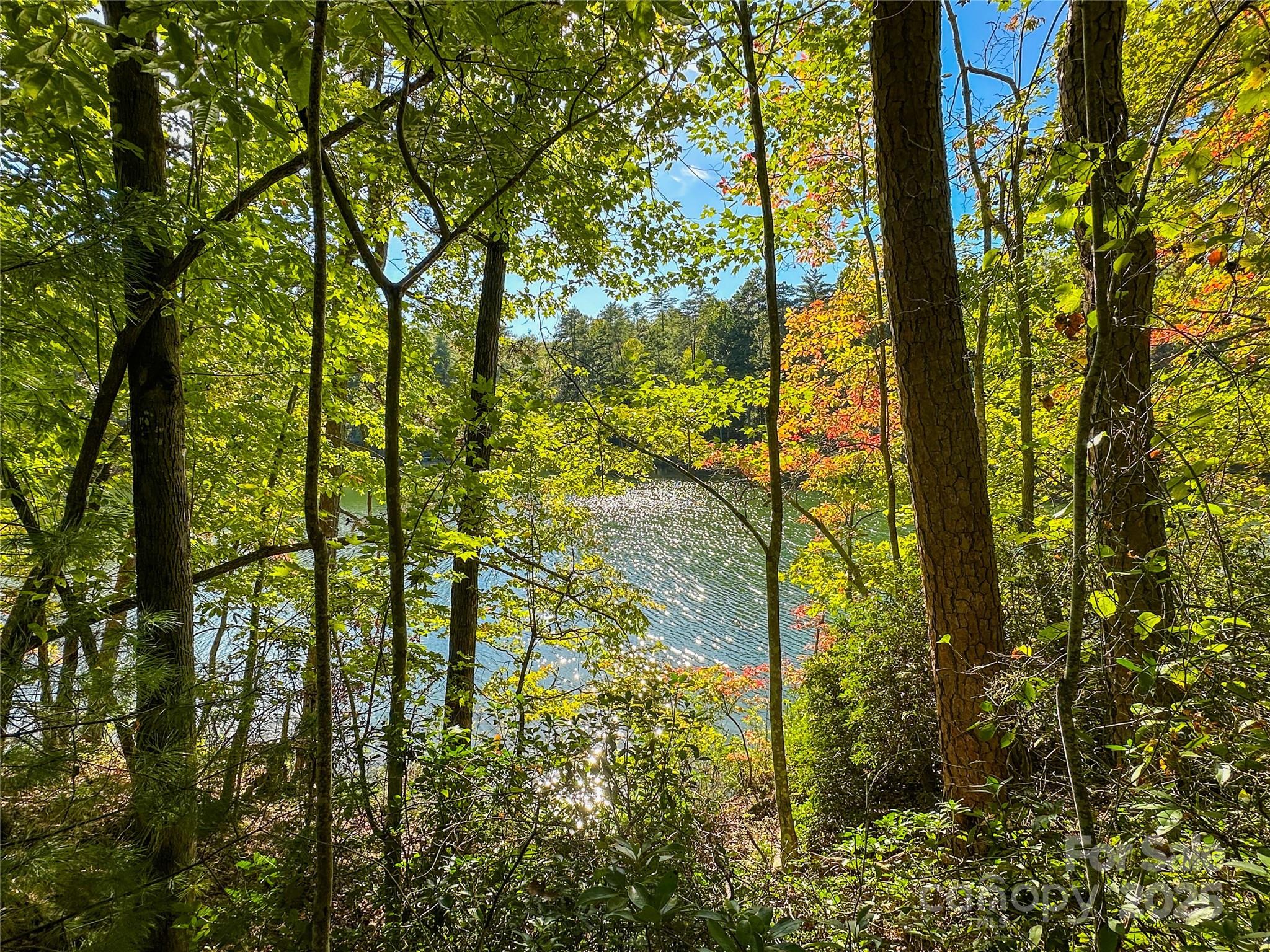 Lot 15 South Cove Rd Mill Spring, Unit 15 Mill Spring, NC 28756 - Photo 35 of 47 a view of lake view