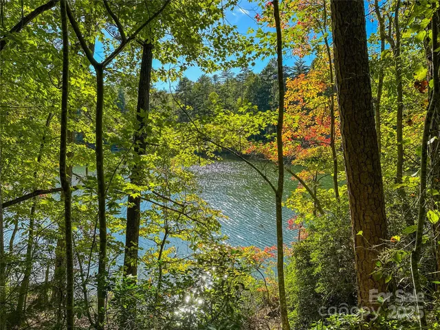 a view of swimming pool with a garden