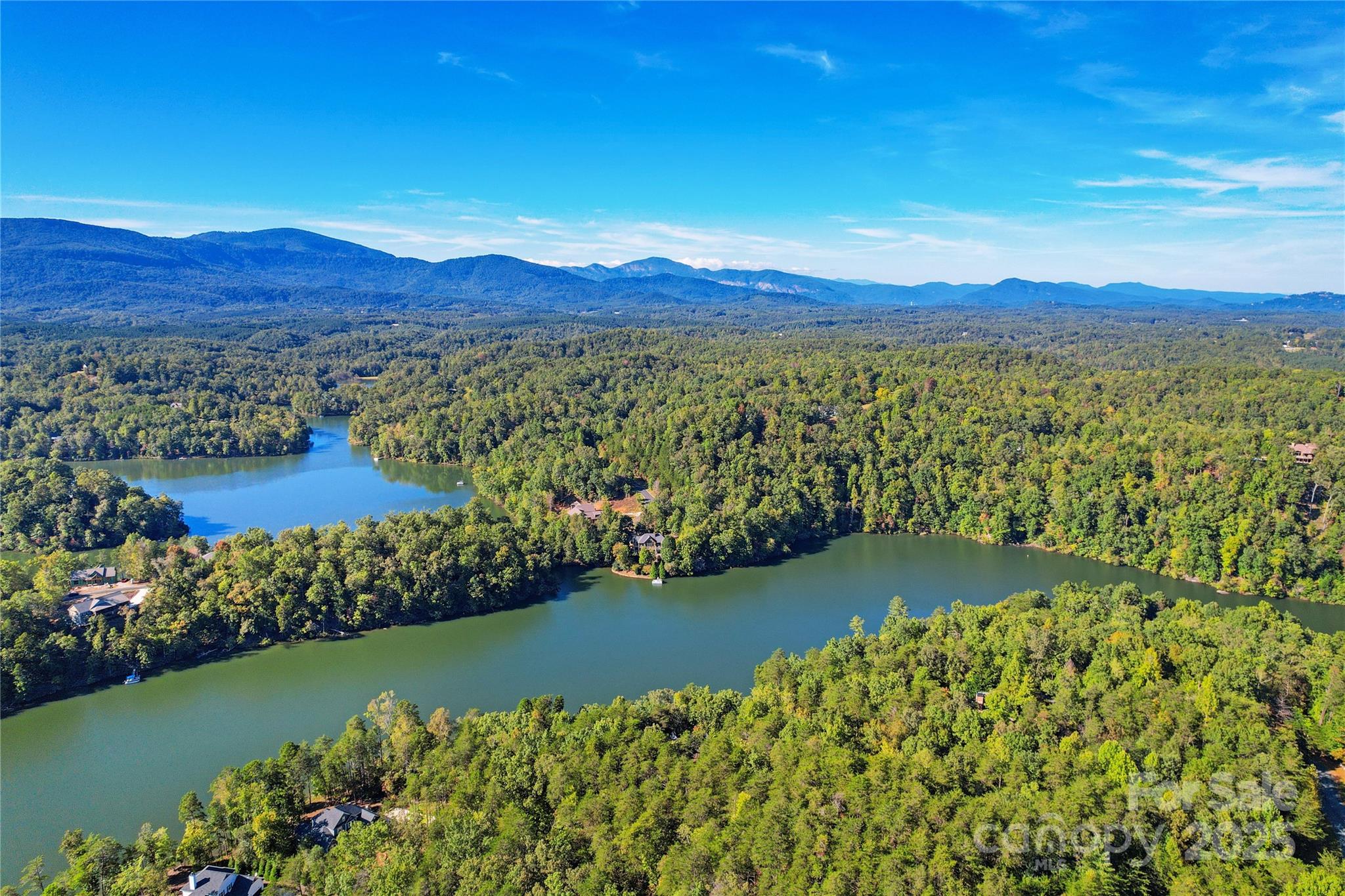 Lot 15 South Cove Rd Mill Spring, Unit 15 Mill Spring, NC 28756 - Photo 5 of 47 a view of a lake with a mountain in the background