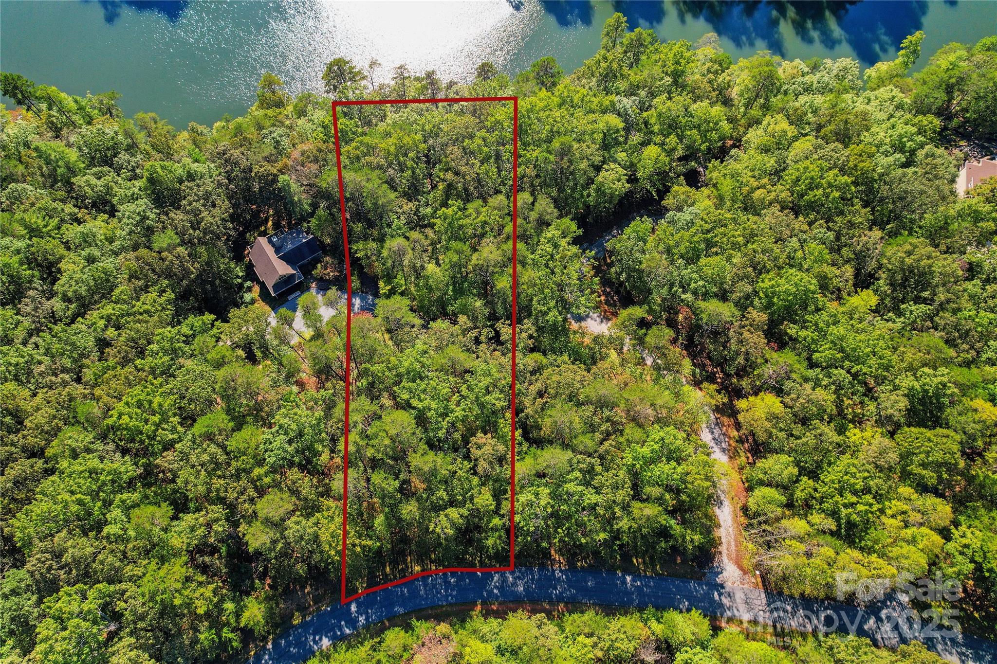 Lot 15 South Cove Rd Mill Spring, Unit 15 Mill Spring, NC 28756 - Photo 6 of 47 a view of a garden