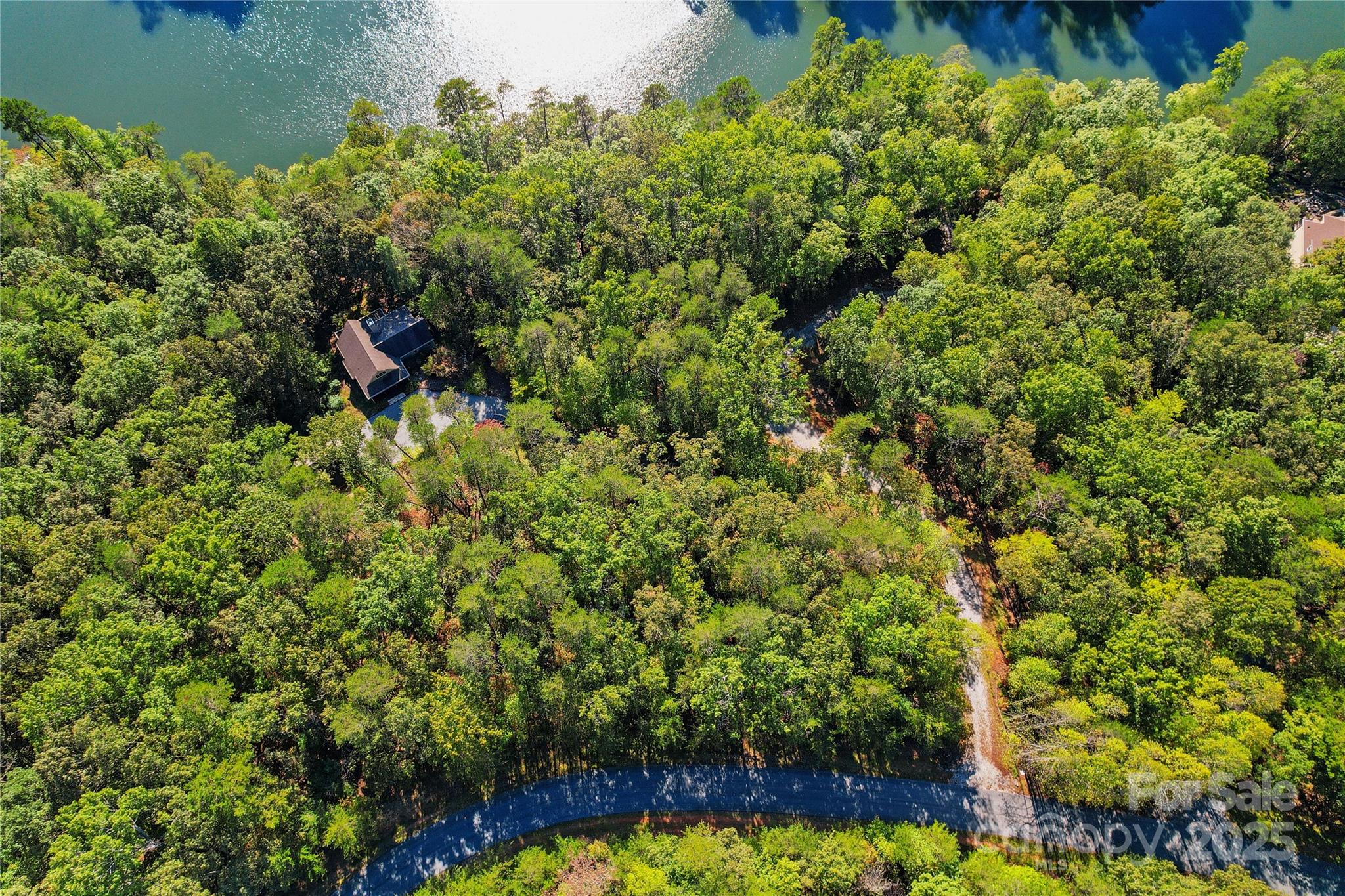 Lot 15 South Cove Rd Mill Spring, Unit 15 Mill Spring, NC 28756 - Photo 8 of 47 a view of outdoor space and yard