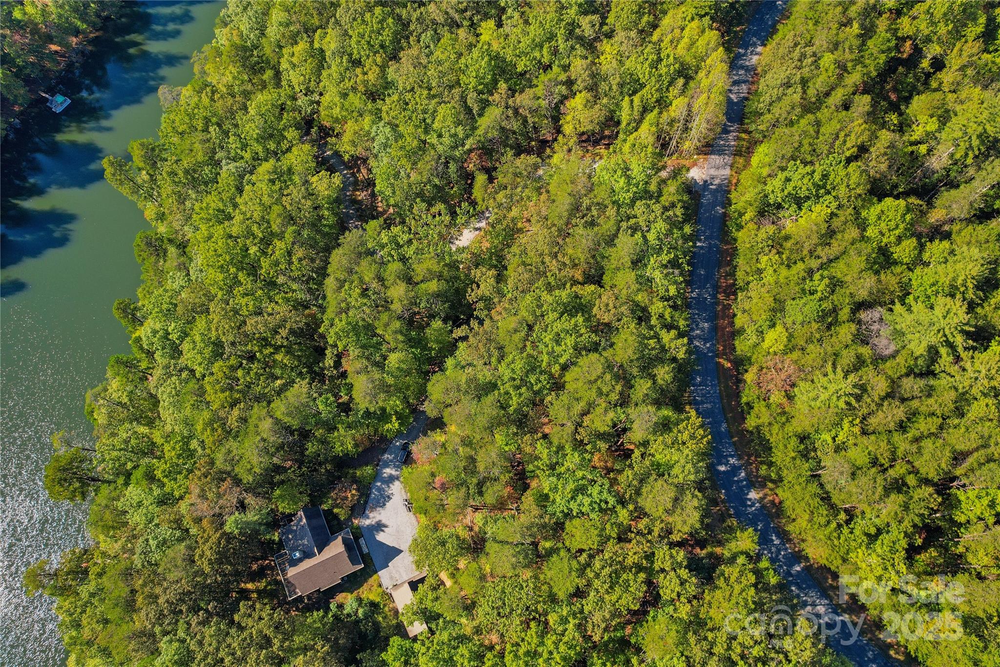 Lot 15 South Cove Rd Mill Spring, Unit 15 Mill Spring, NC 28756 - Photo 10 of 47 a view of a tree