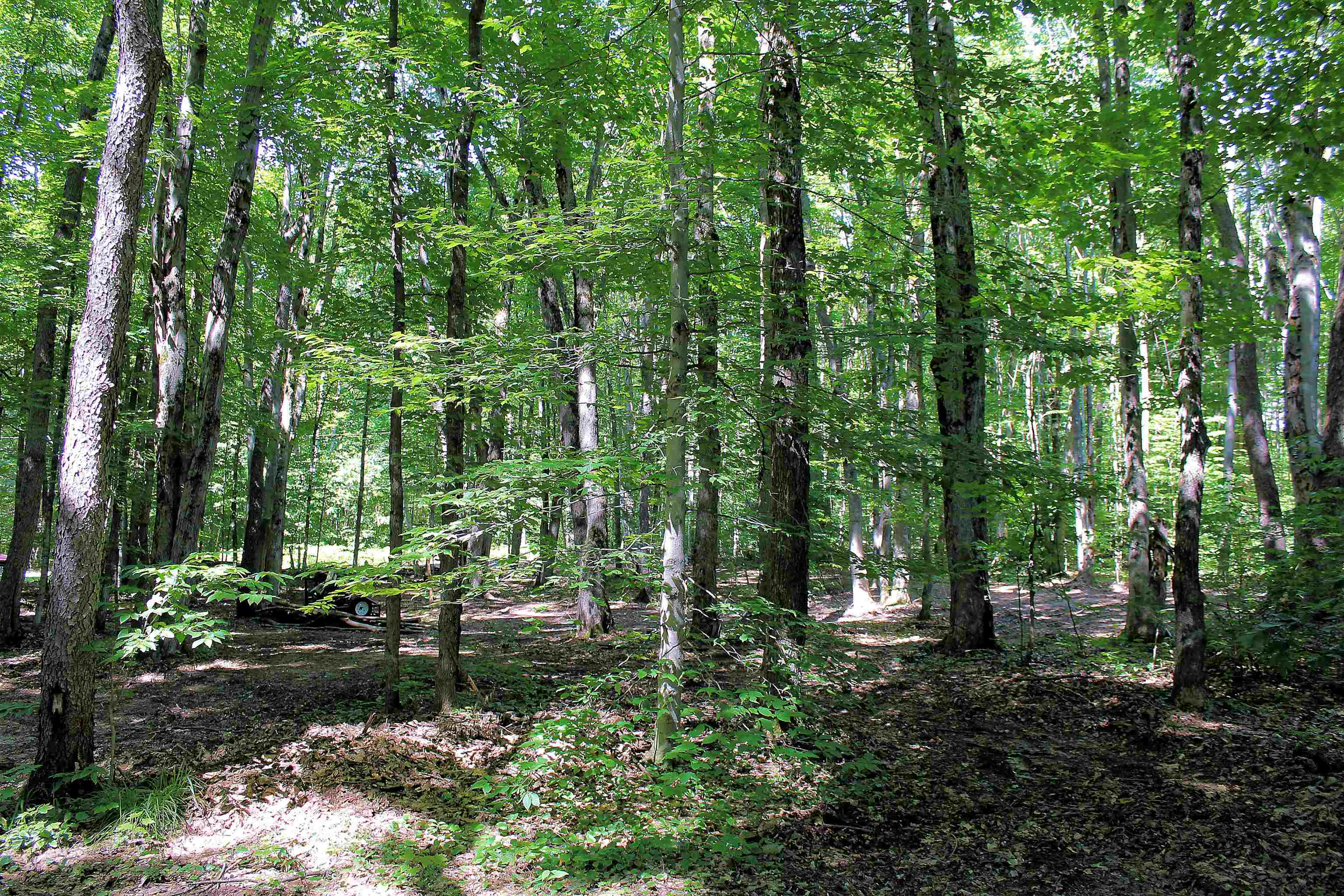 0 Northeast Chwastek Road Kalkaska, MI 49646 - Photo 8 of 18