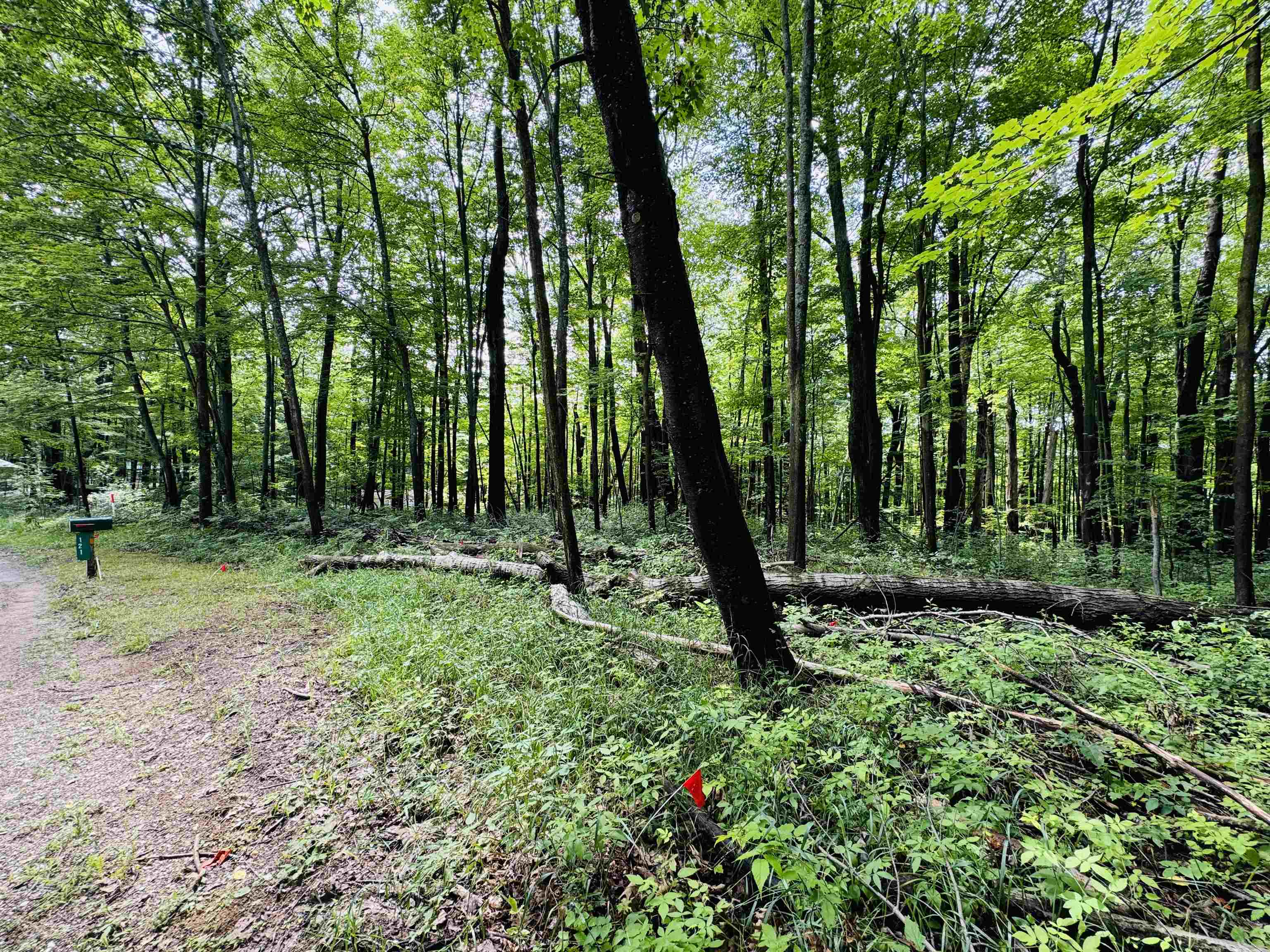 West Ridge Circle Leroy, MI 49655 - Photo 6 of 9 Gallery Image 6