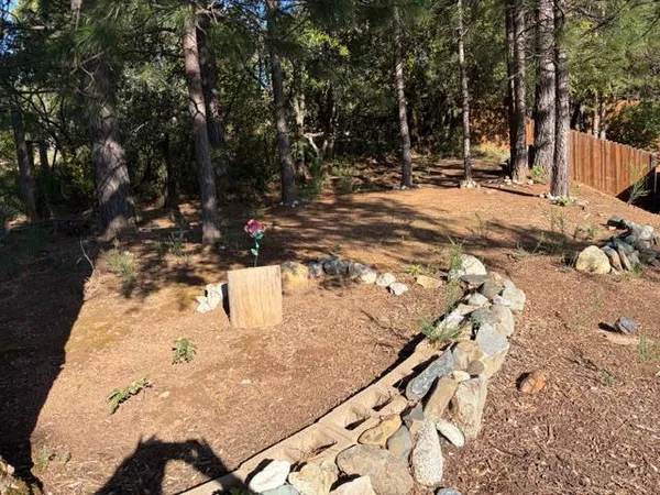 a view of a backyard of the house