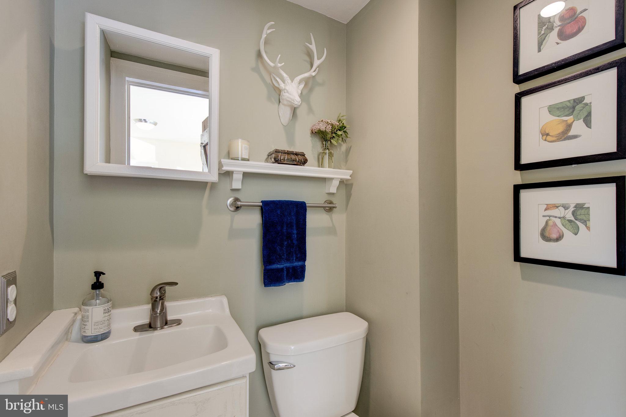 317 Maple Avenue Swarthmore, PA 19081 - Photo 15 of 41 Powder room