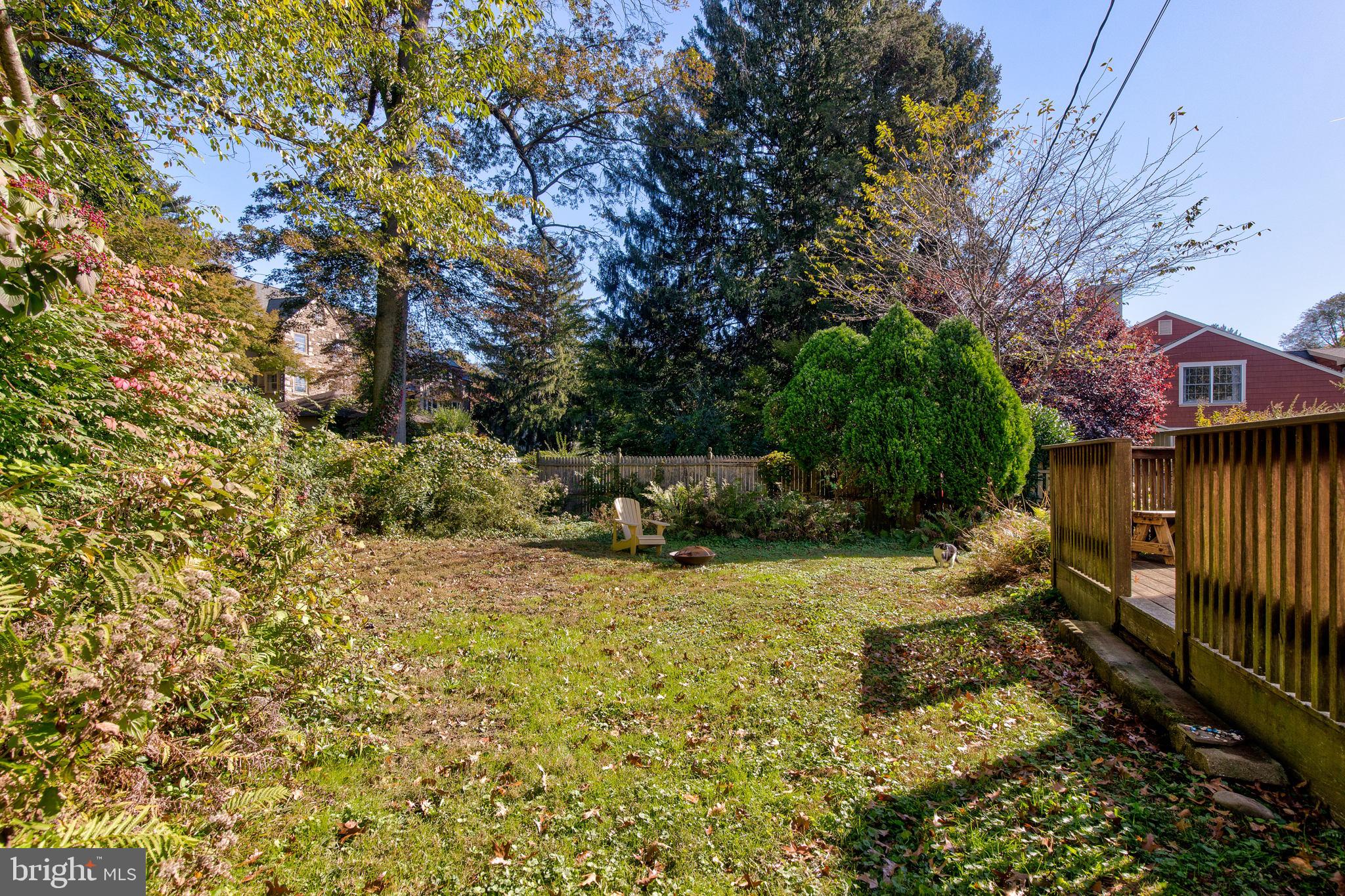 317 Maple Avenue Swarthmore, PA 19081 - Photo 32 of 41 Side yard